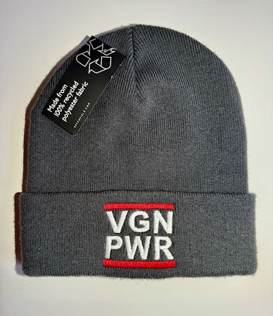 VGN PWR - BEANIE (8430930428171)