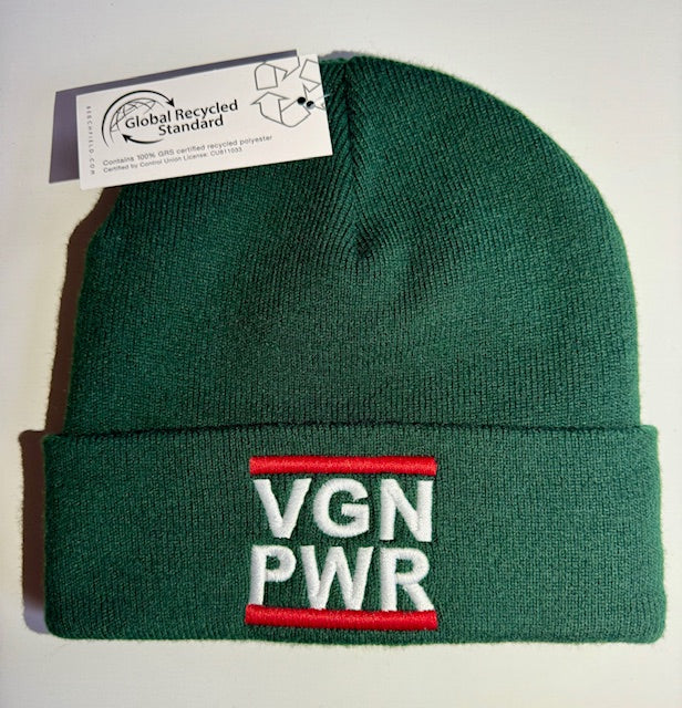 VGN PWR - BEANIE (8430930428171)