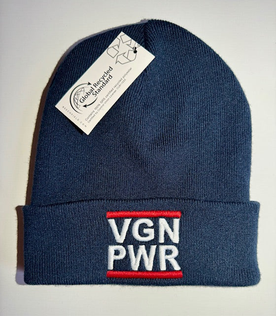 VGN PWR - BEANIE (8430930428171)