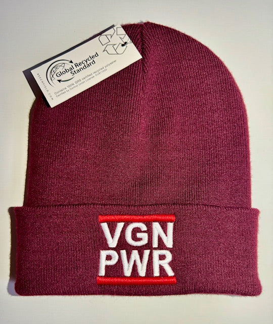 VGN PWR - BEANIE (8430930428171)