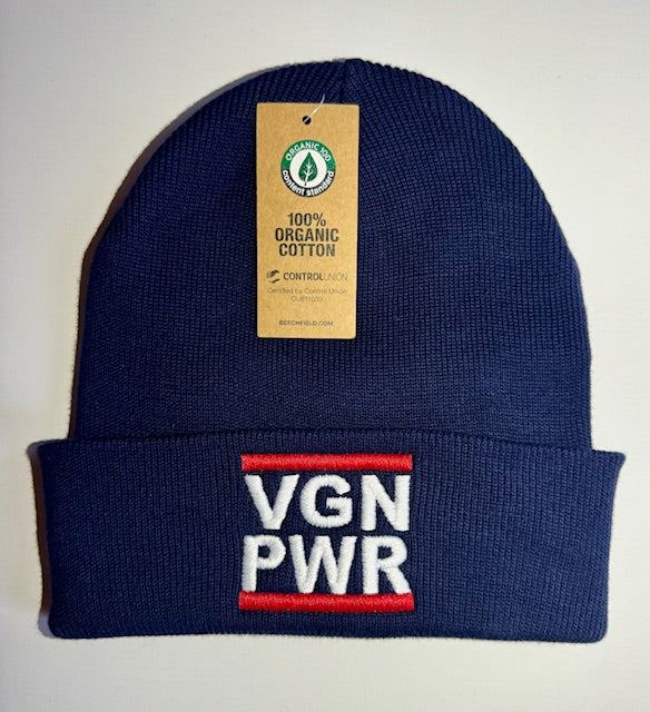 VGN PWR - BEANIE (8430930428171)