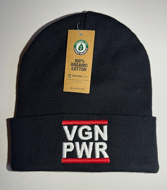 VGN PWR - BEANIE (8430930428171)