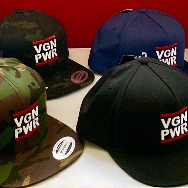 VGN PWR SNAPBACK (5238359982125)