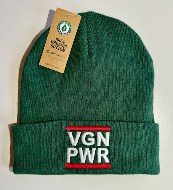 VGN PWR - BEANIE (8430930428171)