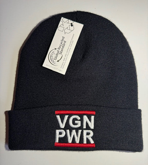 VGN PWR - BEANIE (8430930428171)